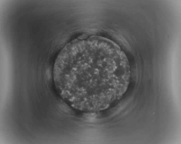 X0000112470131200909141126