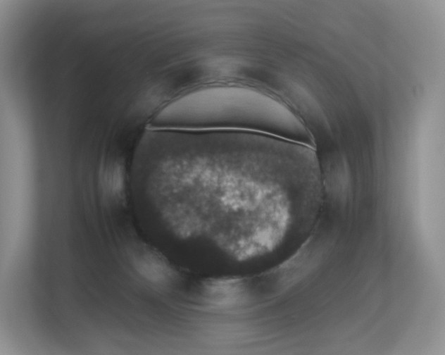 X0000112470132200909141126