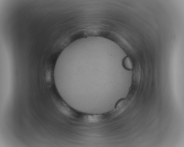 X0000112470134200909141126