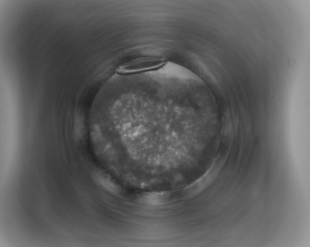 X0000112470136200909141126