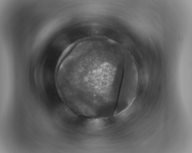 X0000112470140200909141126