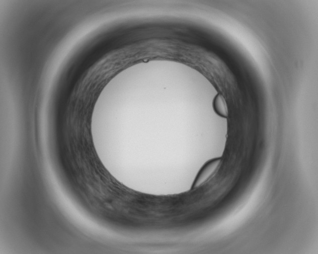 X0000112470142200909141126