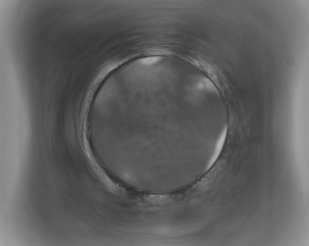 X0000112470145200909141125