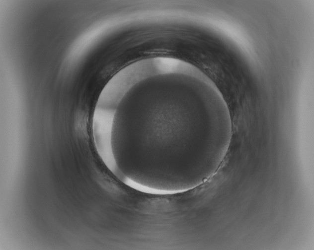 X0000112470146200909141125