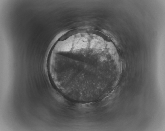 X0000112470147200909141125