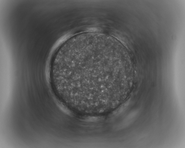X0000112470149200909141125