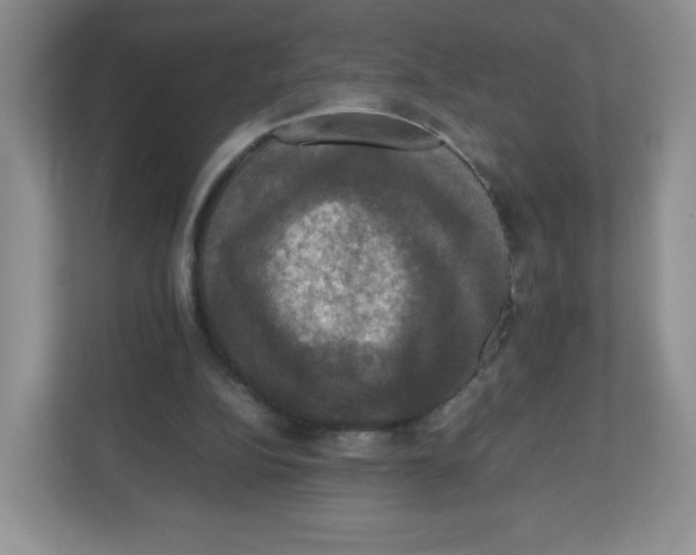 X0000112470152200909141125