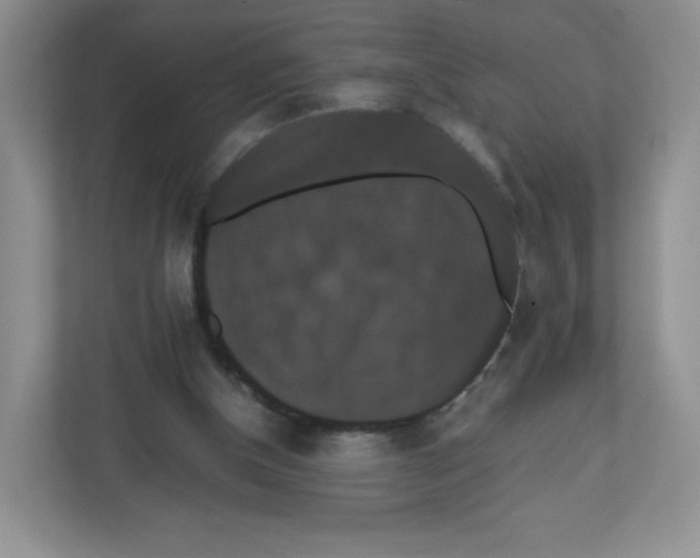 X0000112470154200909141125
