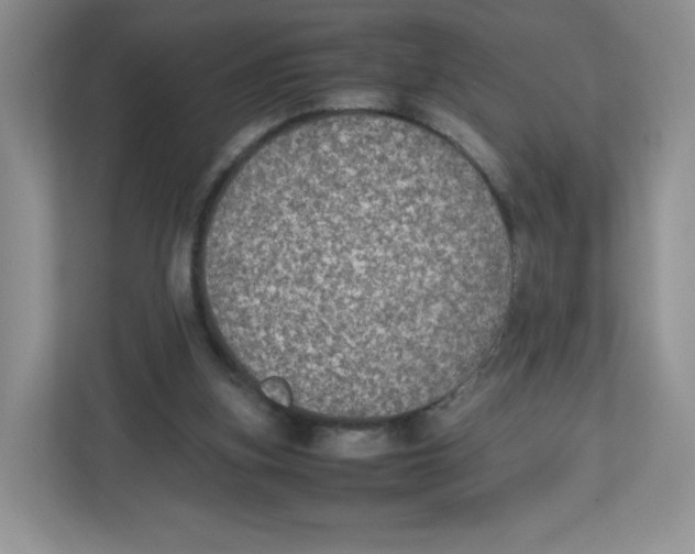 X0000112470155200909141125