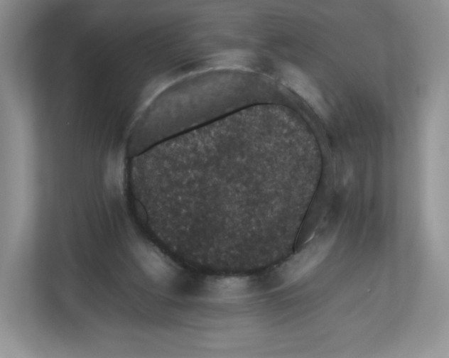 X0000112470156200909141125