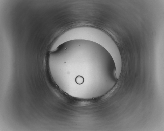 X0000112470158200909141125