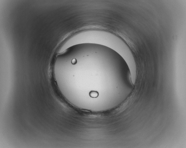 X0000112470160200909141125