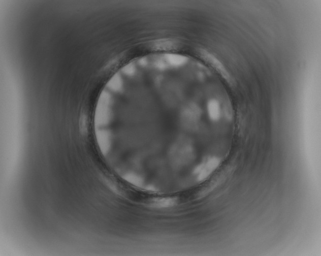 X0000112470161200909141125