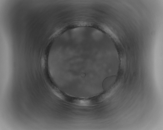 X0000112470165200909141125