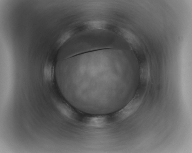 X0000112470168200909141125