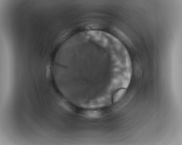 X0000112470169200909141125