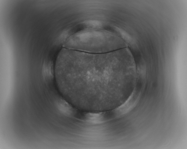 X0000112470170200909141125