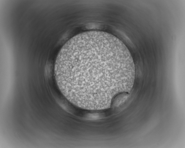 X0000112470171200909141125