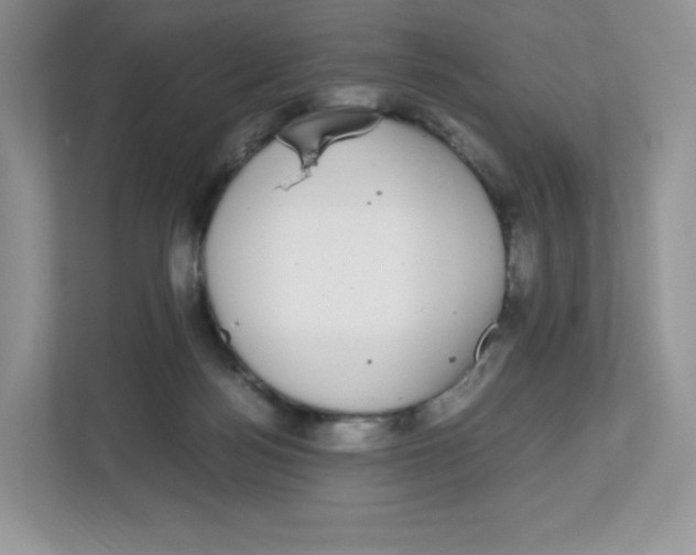 X0000112470172200909141125