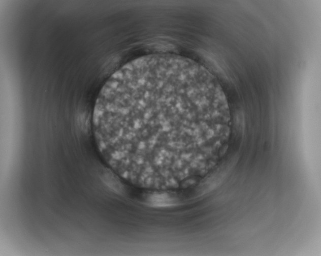 X0000112470177200909141125