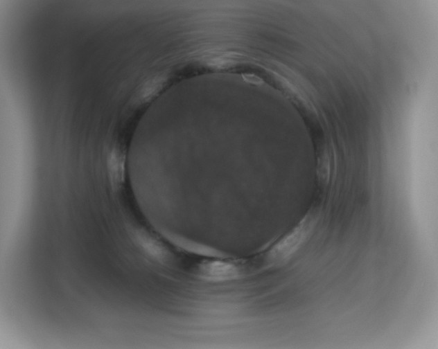 X0000112470180200909141125