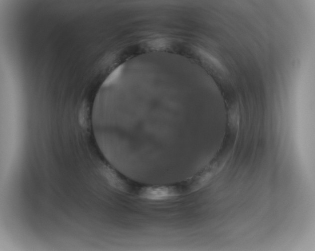 X0000112470181200909141125