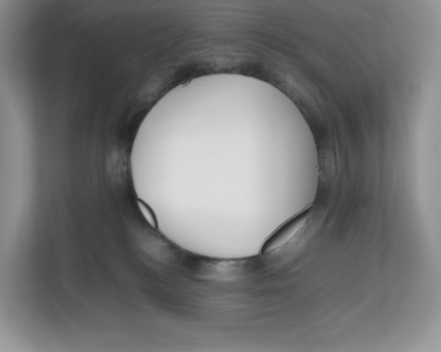 X0000112470184200909141126