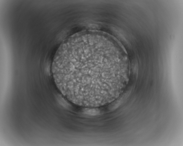 X0000112470185200909141126