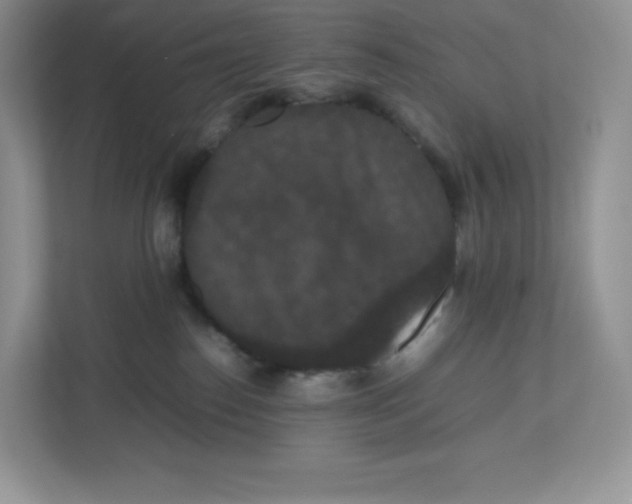 X0000112470186200909141126