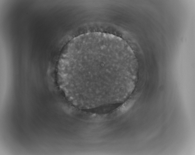 X0000112470192200909141126