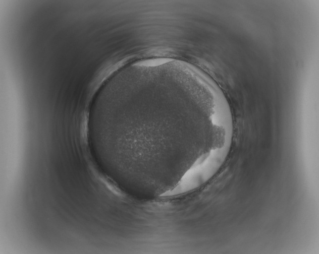 X0000112470194200909141125