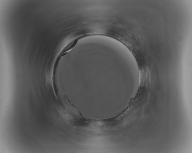 X0000112470195200909141125