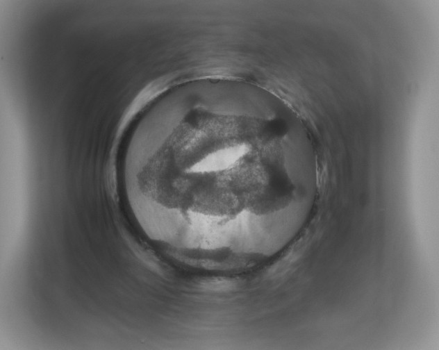 X0000112470198200909141125
