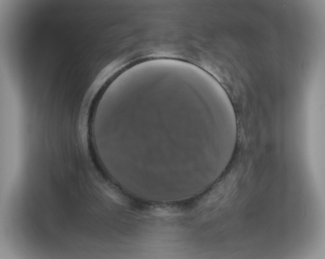 X0000112470199200909141125