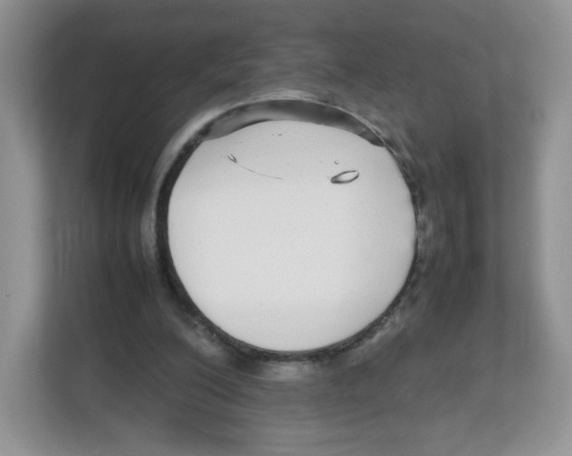 X0000112470200200909141125