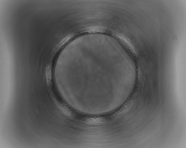 X0000112470202200909141125