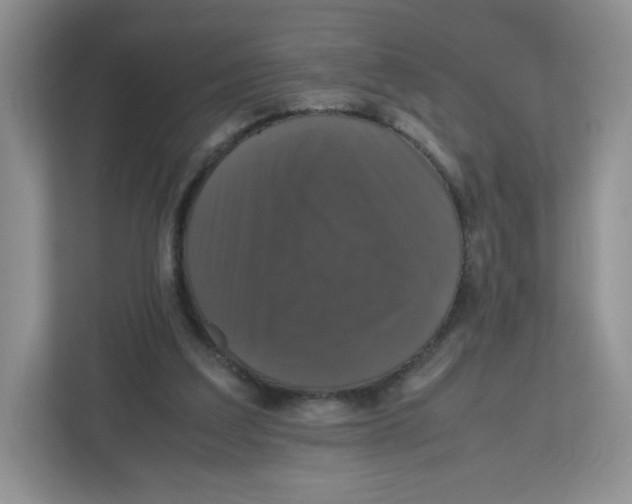 X0000112470203200909141125