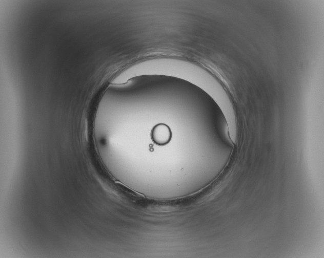 X0000112470205200909141125