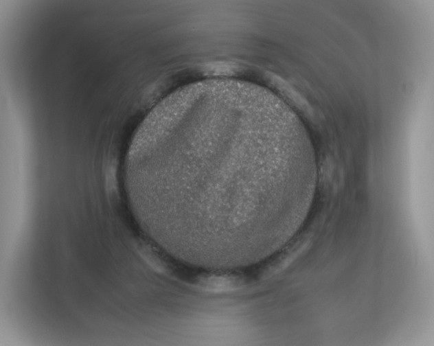X0000112470209200909141125