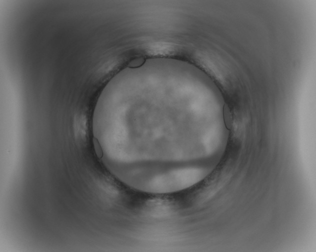 X0000112470211200909141125