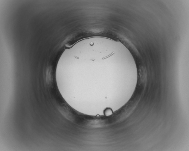 X0000112470212200909141125