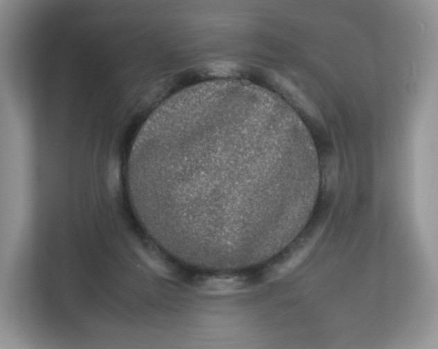 X0000112470213200909141125