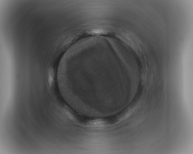 X0000112470219200909141125
