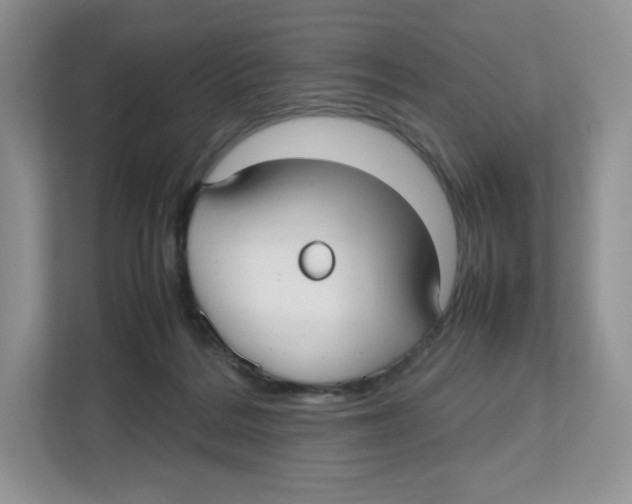 X0000112470220200909141125