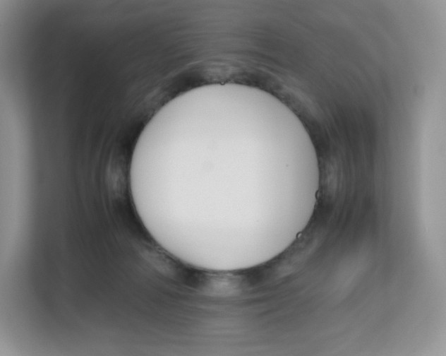 X0000112470226200909141125
