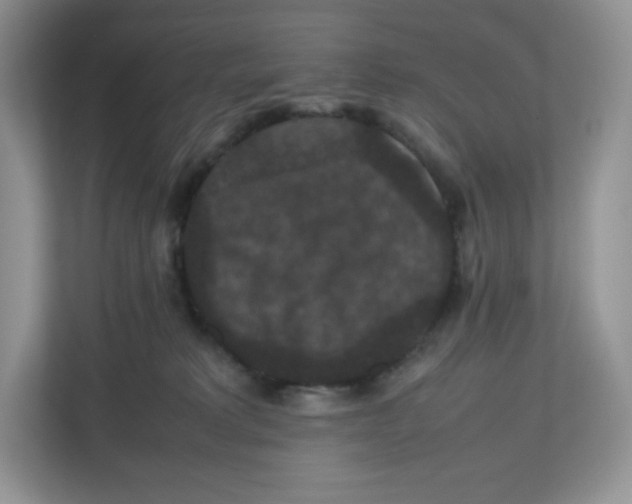 X0000112470229200909141125