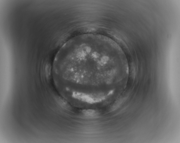 X0000112470230200909141125