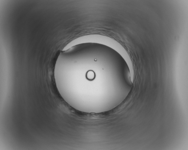 X0000112470235200909141124