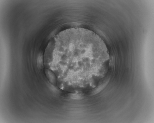 X0000112470238200909141124