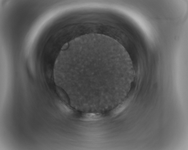 X0000112470239200909141124